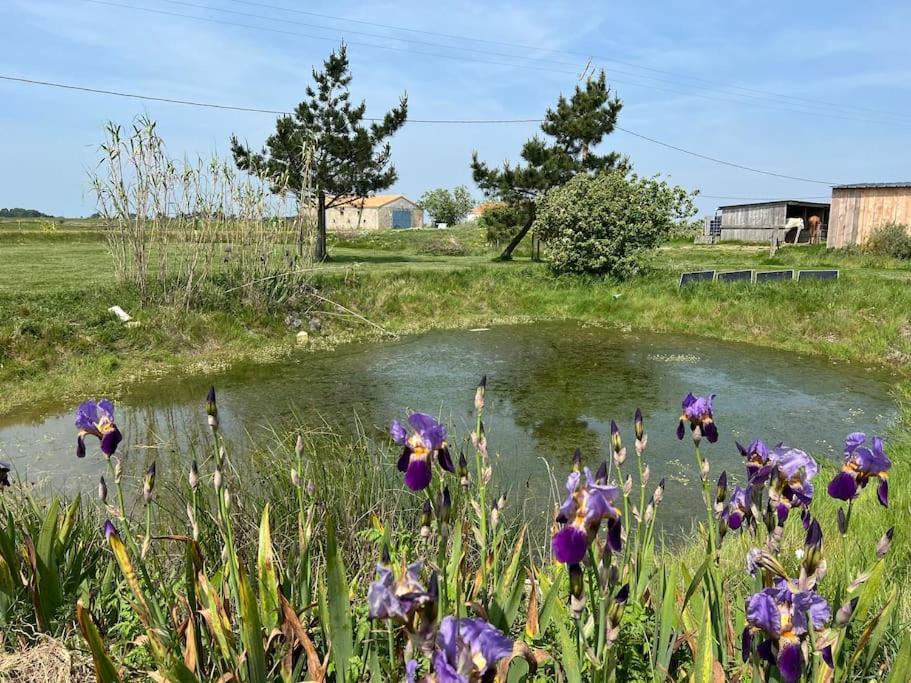 Maison De Charme Au Coeur Des Marais Pour 6 Pers. Bouin  Bagian luar foto